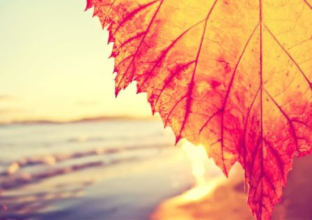 Септемврийски празници