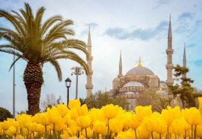 Фестивал на лалетата в Истанбул, Турция с автобус от София - 3 нощувки