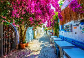 Почивка в Чешме, Турция, самолетна програма от София в събота - 7 нощувки