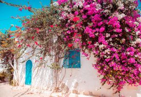 Почивка на о-в Джерба, Тунис със самолет от София във Вторник - 7 нощувки