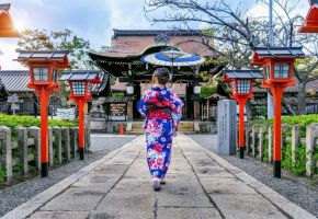 МАГИЯТА на ЦВЕТНА ЯПОНИЯ 2025 - обиколен тур - 8 нощувки - полет от София