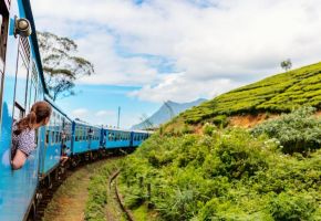 Шри Ланка – остров на древни храмове, чаени плантации и златни плажове с полет от София