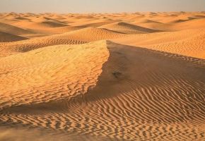 Тунис от А до Я - полет от София - 2026